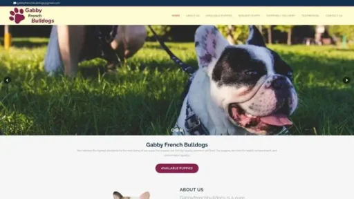 Screenshot of