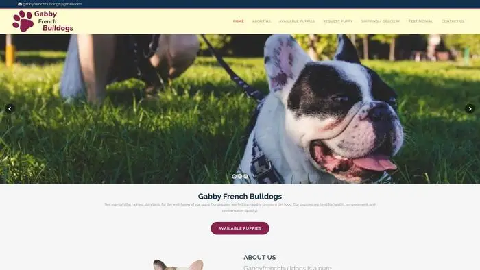 Screenshot of