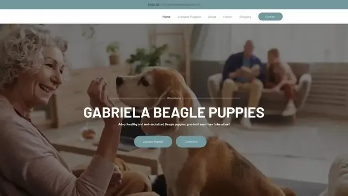 Screenshot of