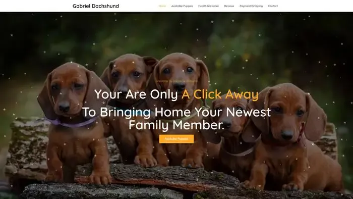 Screenshot of