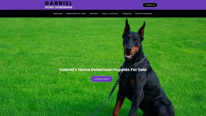 Screenshot of