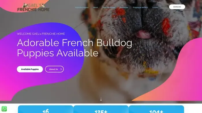 Screenshot of