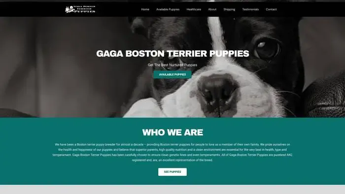 Screenshot of
