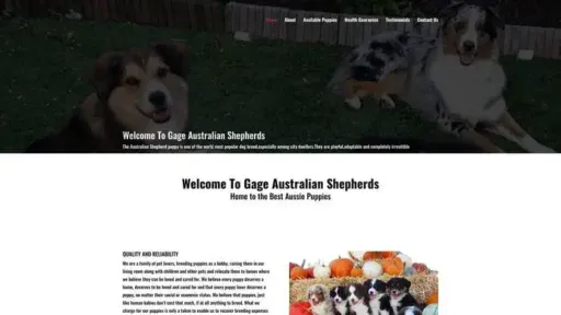 Screenshot of