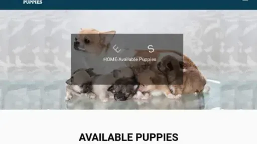 Screenshot of