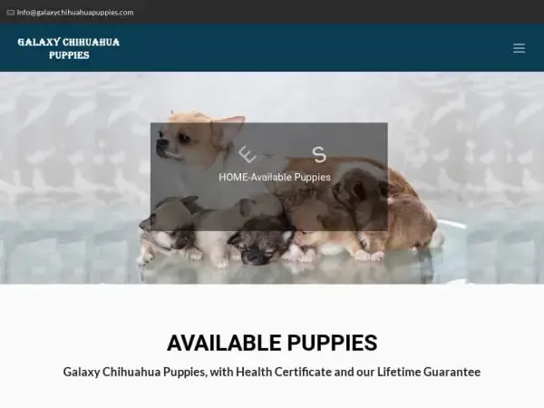 Screenshot of