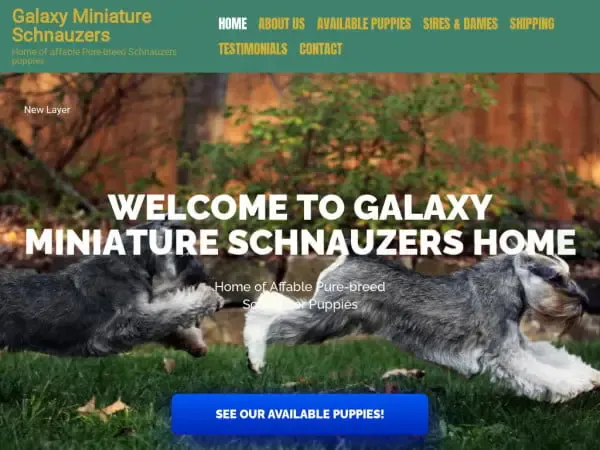 Screenshot of
