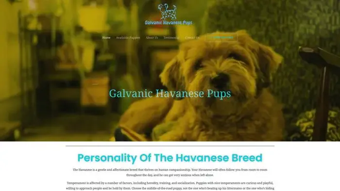 Screenshot of
