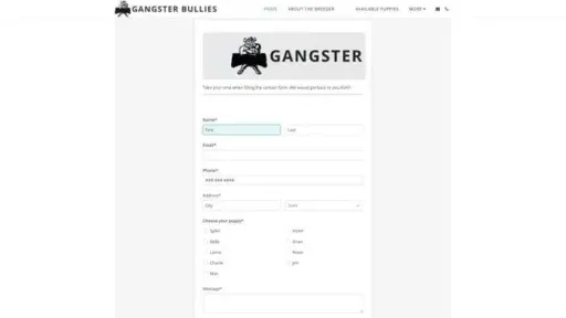 Screenshot of