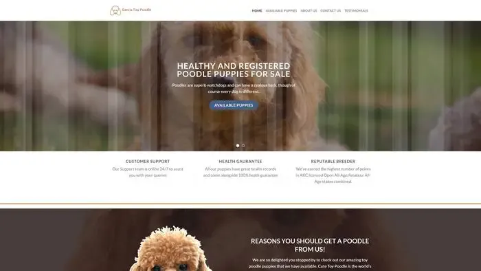 Screenshot of