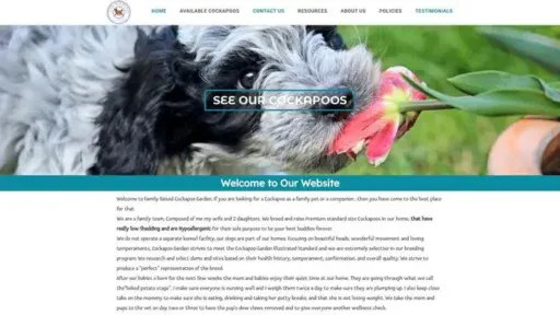 Screenshot of