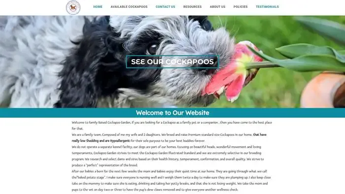 Screenshot of