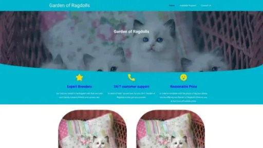 Screenshot of||