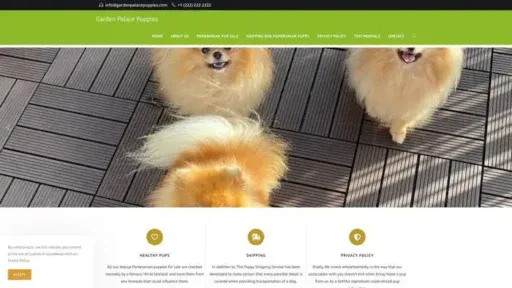 Screenshot of