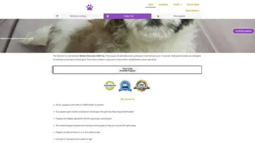 Screenshot of