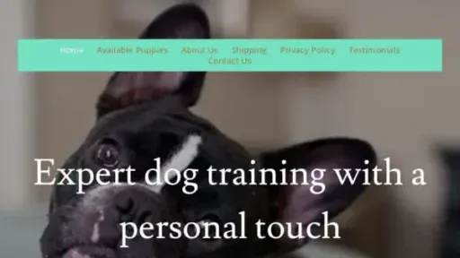 Screenshot of