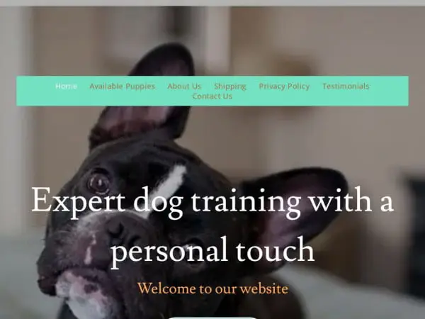 Screenshot of
