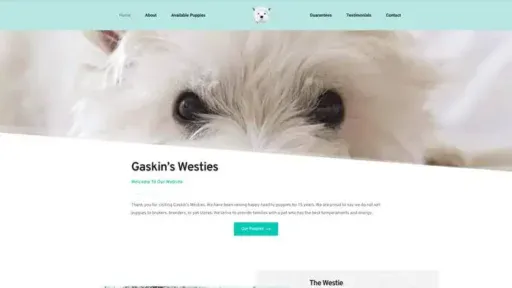 Screenshot of