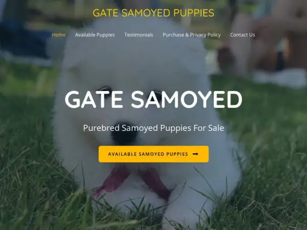 Screenshot of