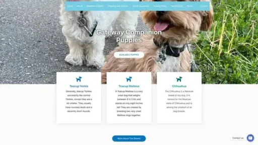 Screenshot of