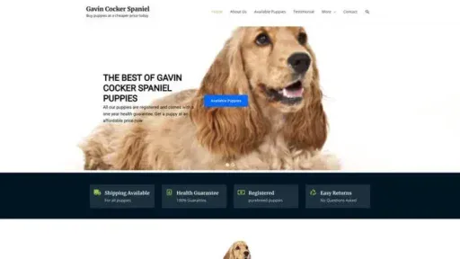Screenshot of