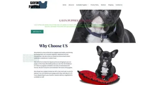 Screenshot of