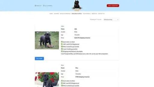 Screenshot of
