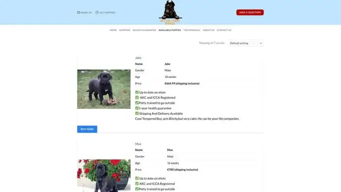 Screenshot of
