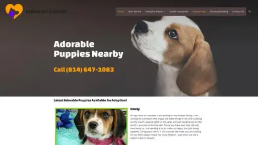 Screenshot of