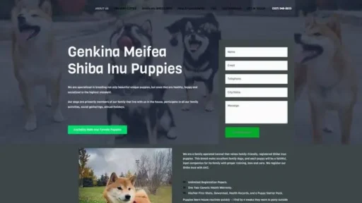 Screenshot of