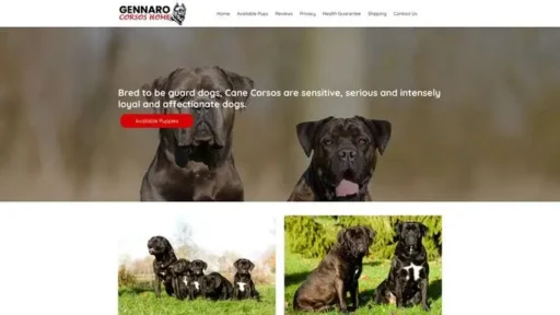 Screenshot of