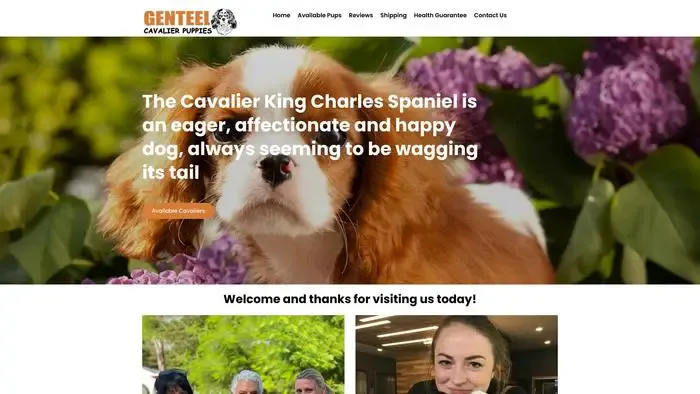 Screenshot of