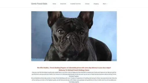Screenshot of