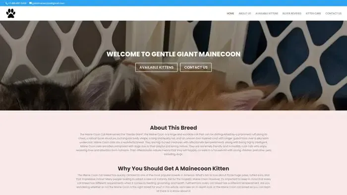 Screenshot of