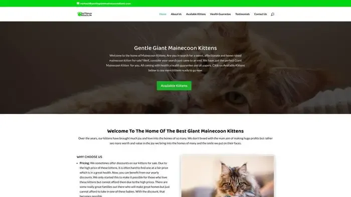 Screenshot of