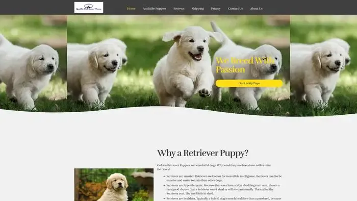 Screenshot of