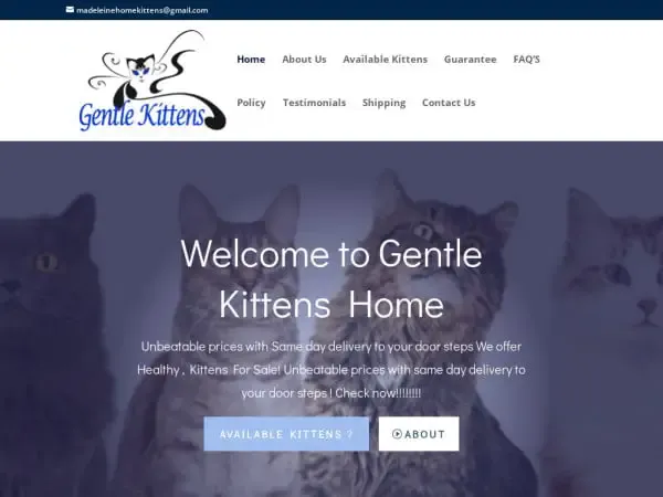 Screenshot of
