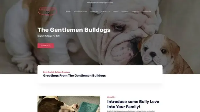 Screenshot of