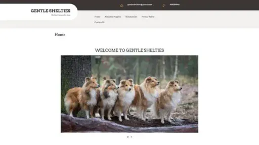 Screenshot of