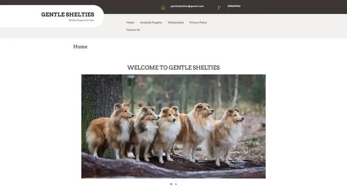 Screenshot of