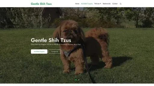 Screenshot of