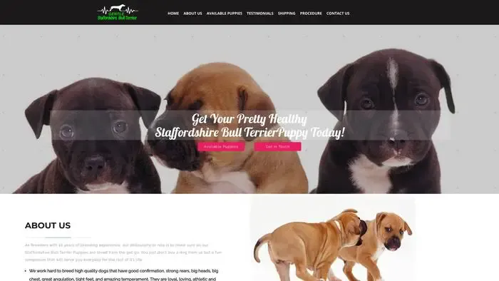Screenshot of