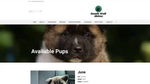 Screenshot of