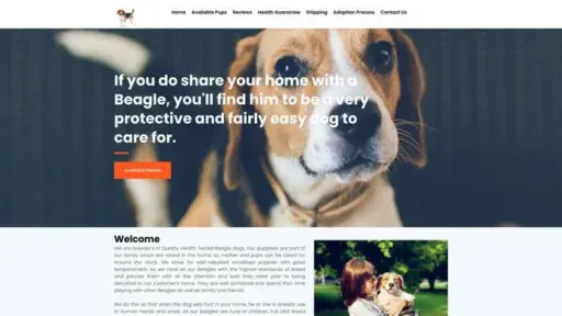 Screenshot of