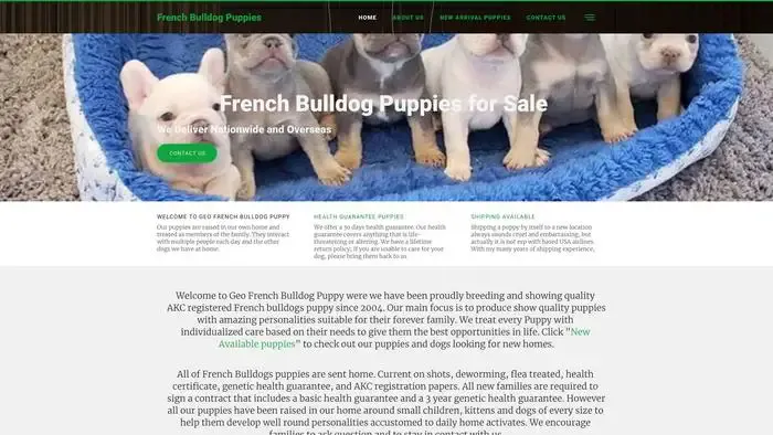 Screenshot of