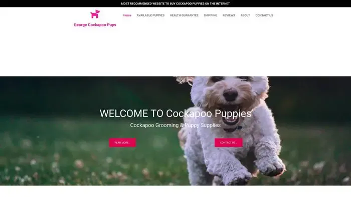 Screenshot of
