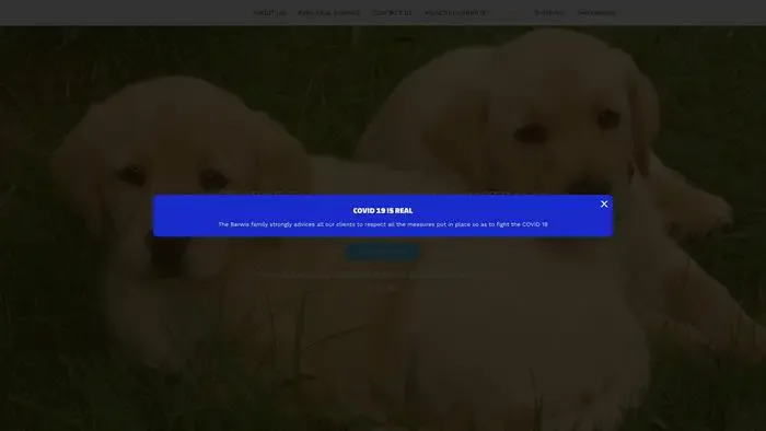 Screenshot of