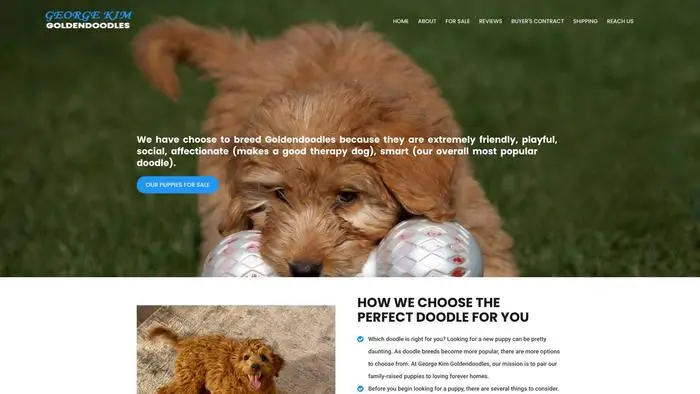 Screenshot of