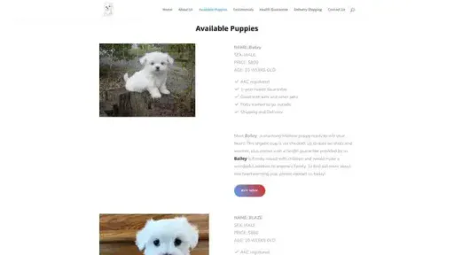 Screenshot of