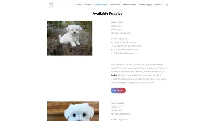 Screenshot of